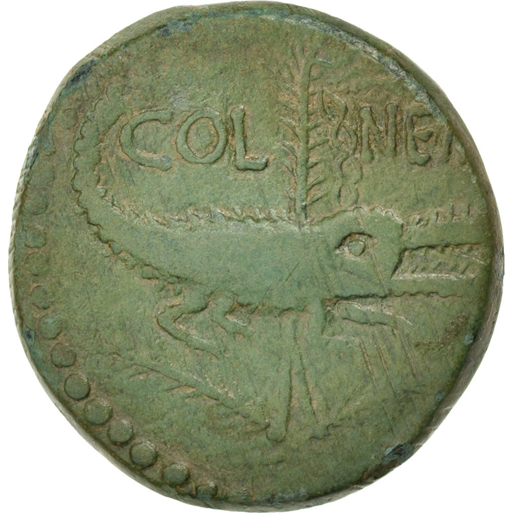 Nemausus, Nîmes, Auguste et Agrippa, Dupondius, RIC 160