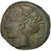 SICILIA, SYRACUSA, Hemilitron, Syracuse, AU(55-58), Bronze, 3.75