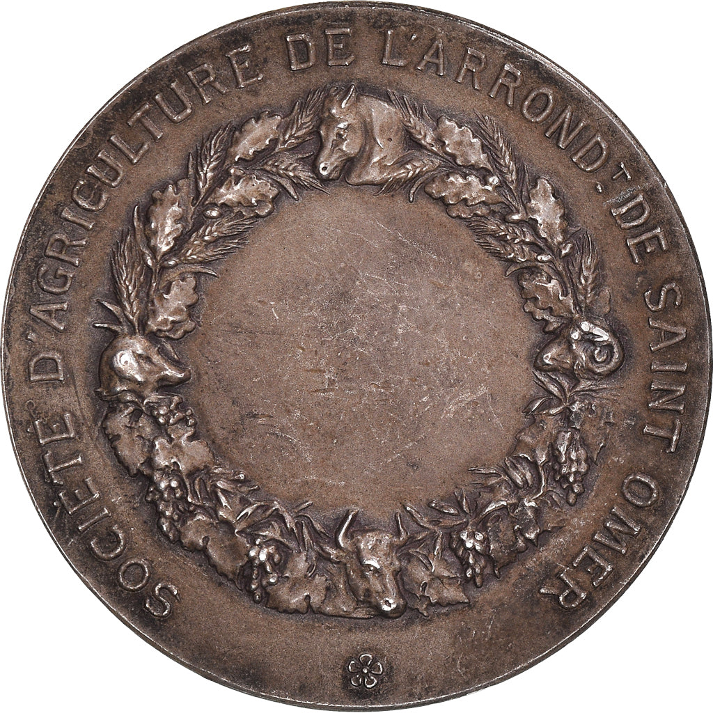 Francia, medaglia, Société d'Agriculture de Saint-Omer, Dubois.H, BB+, Argento