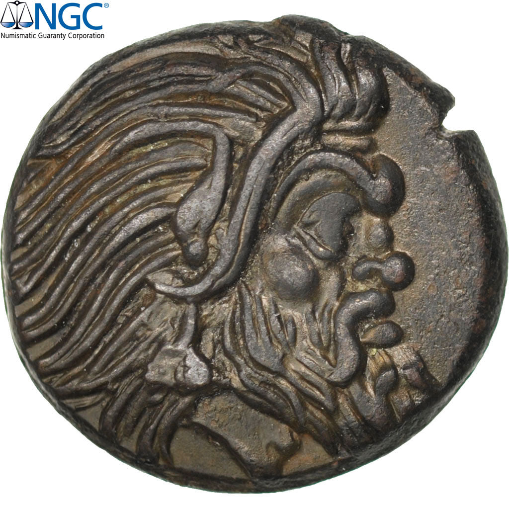 Bosporus, Panticapaeum, Bronze, Chersonesos, NGC Ch AU* 5/5