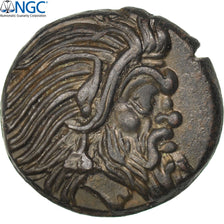 Bosporus, Panticapaeum, Bronze, Chersonesos, NGC Ch AU* 5/5