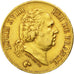 FRANCE, Louis XVIII, 40 Francs, 1818, Lille, KM #713.6, EF(40-45), Gold,...
