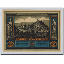 Billet, Allemagne, Bolkenhain, 25 Pfennig, paysage, O.D, SPL, Mehl:137.2
