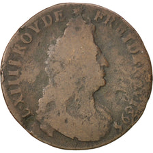 Louis XIV, Liard de France, 1695 D, Lyon, C2G 194