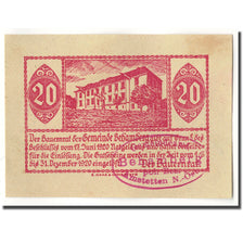 Banconote, Austria, Behamberg, 20 Heller, Batiment, 1920, 1920-06-17, SPL
