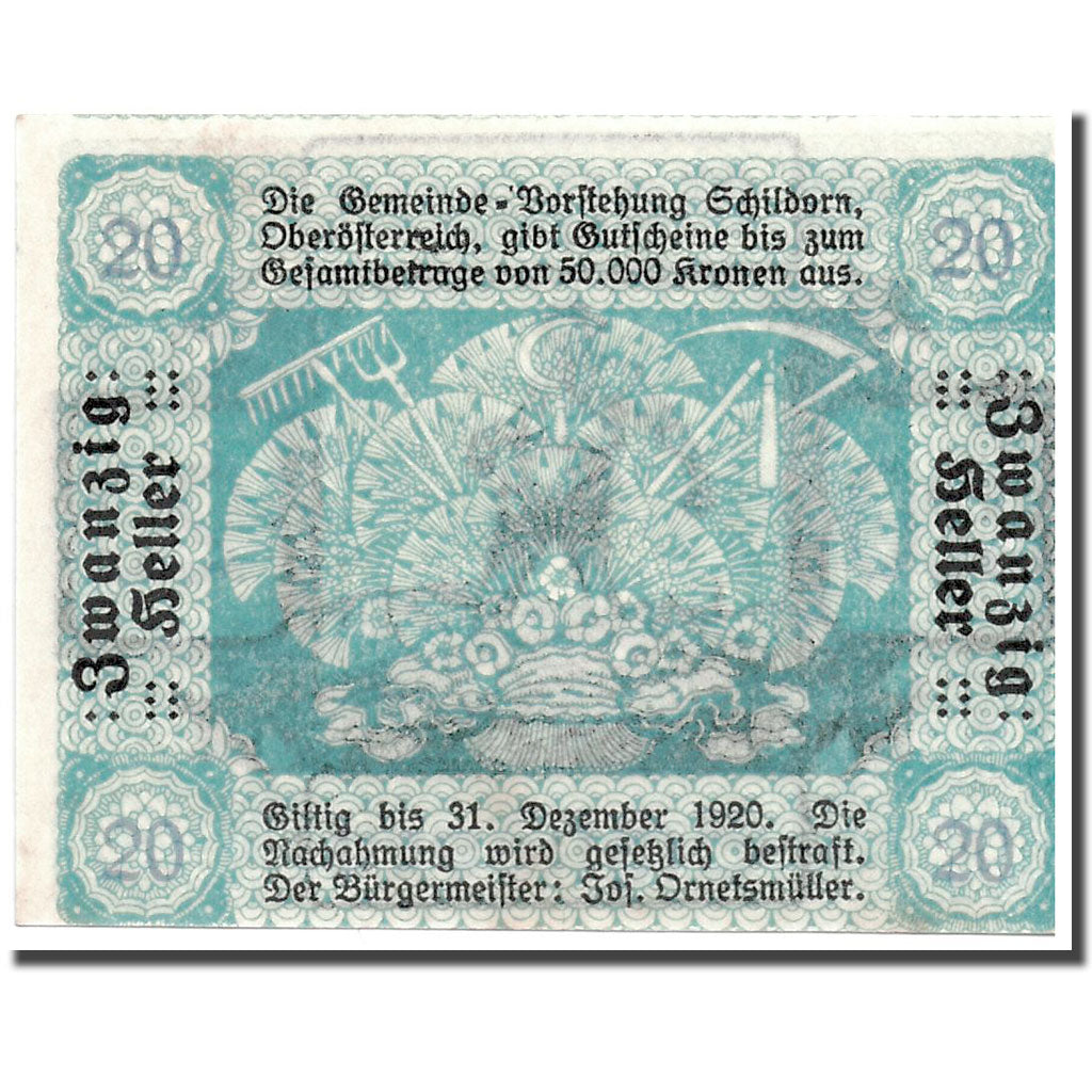 Geldschein, Österreich, Schildorn, 20 Heller, personnage, 1920-12-31, UNZ-