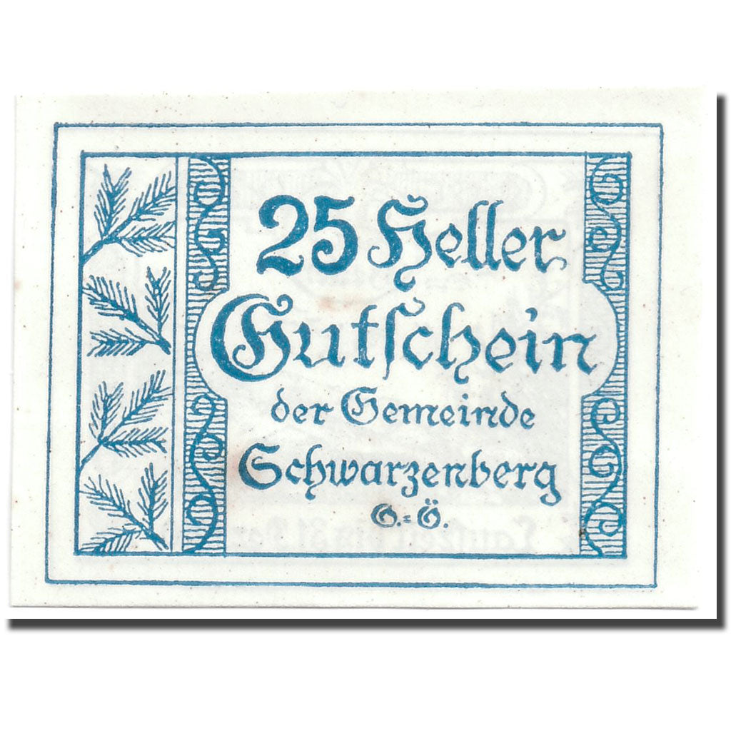 Geldschein, Österreich, Schwarzenberg, 25 Heller, graphique, 1920, 1920-05-03
