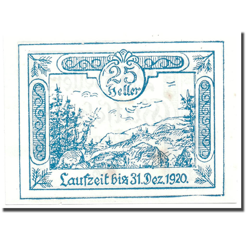 Geldschein, Österreich, Schwarzenberg, 25 Heller, graphique, 1920, 1920-05-03