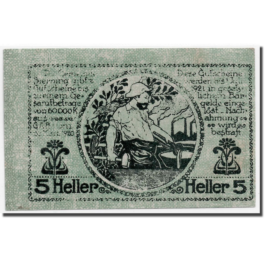 Geldschein, Österreich, Sierning, 5 Heller, paysan, 1920, 1920-03-20, UNZ-