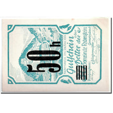 Banknotes, Austria, Rabenstein, 50 Heller, paysage, 1920, 1920-04-19, UNC(63)