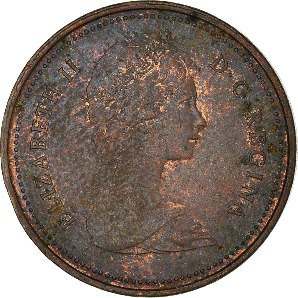 Coin, Canada, Elizabeth II, Cent, 1981, Royal Canadian Mint, Ottawa, VF(20-25)