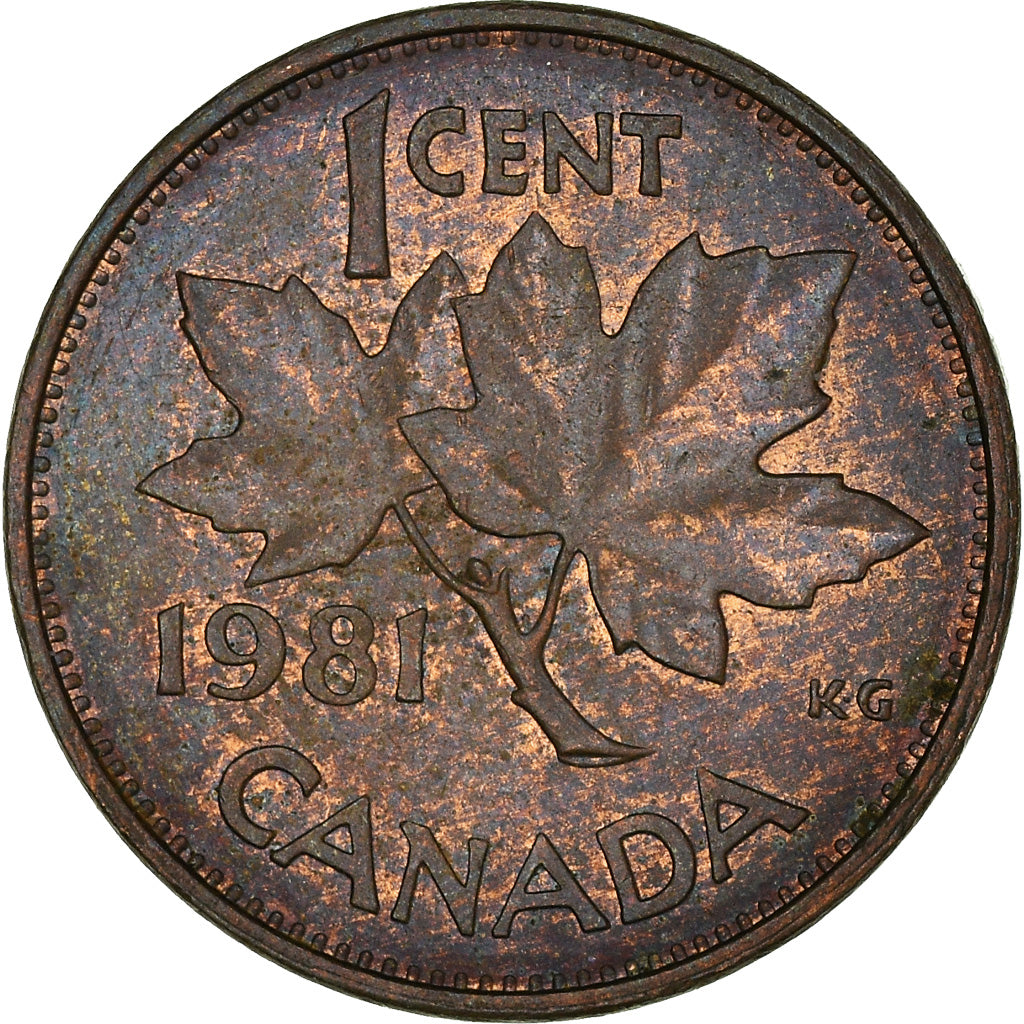 Coin, Canada, Elizabeth II, Cent, 1981, Royal Canadian Mint, Ottawa, VF(20-25)