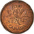 Coin, Canada, Elizabeth II, Cent, 1982, Royal Canadian Mint, Ottawa, EF(40-45)