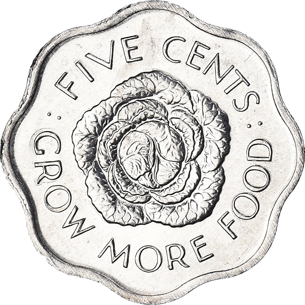 Coin, Seychelles, 5 Cents, 1975, British Royal Mint, MS(63), Aluminum, KM:18
