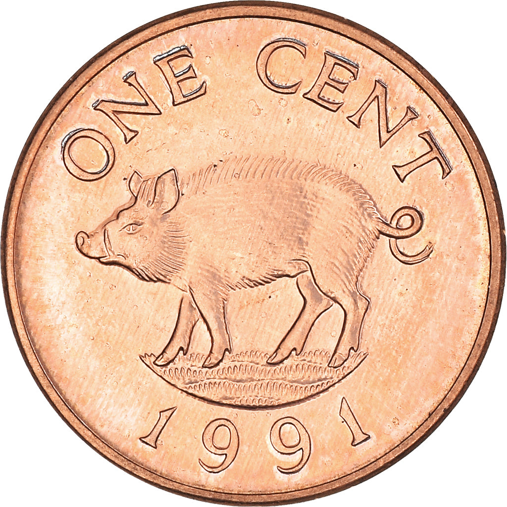Coin, Bermuda, Elizabeth II, Cent, 1991, MS(63), Copper Plated Zinc, KM:44b