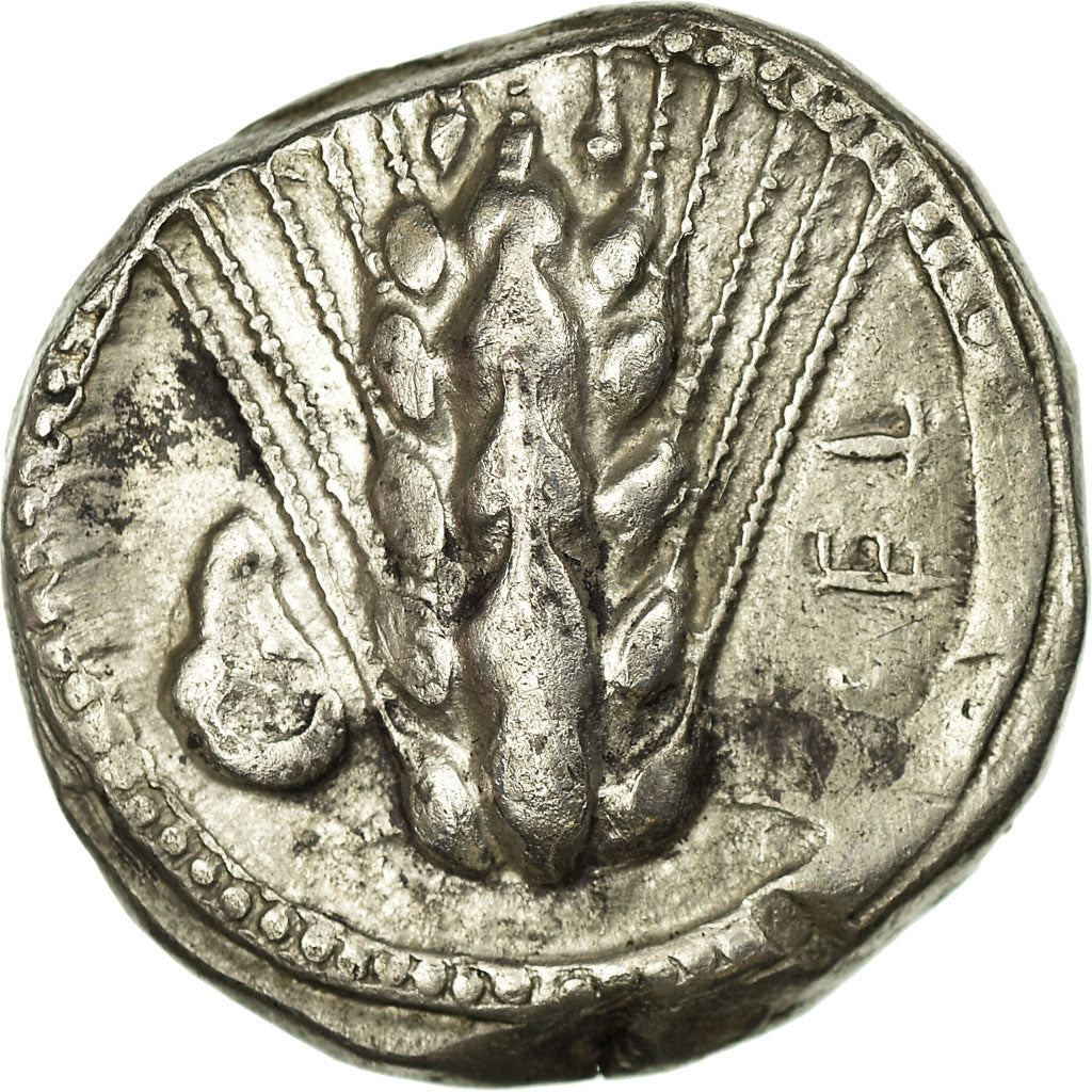 Coin, Lucania, Metapontion, Stater, Metapontion, EF(40-45), Silver