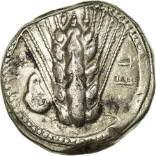Coin, Lucania, Metapontion, Stater, Metapontion, EF(40-45), Silver