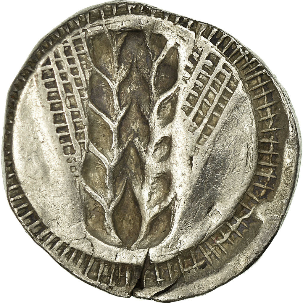 Coin, Lucania, Metapontion, Stater, Metapontion, EF(40-45), Silver
