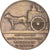 Belgique, Médaille, Exposition Universelle de Bruxellles, 1935, SUP+, Laiton