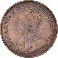 Moeda, África do Sul, George V, Penny, 1936, EF(40-45), Bronze, KM:14.3