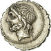 Coin, Cornelia, Denarius, Rome, AU(50-53), Silver