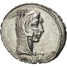 Roscia, Denarius, Rome, AU(55-58), Silver, 3.71