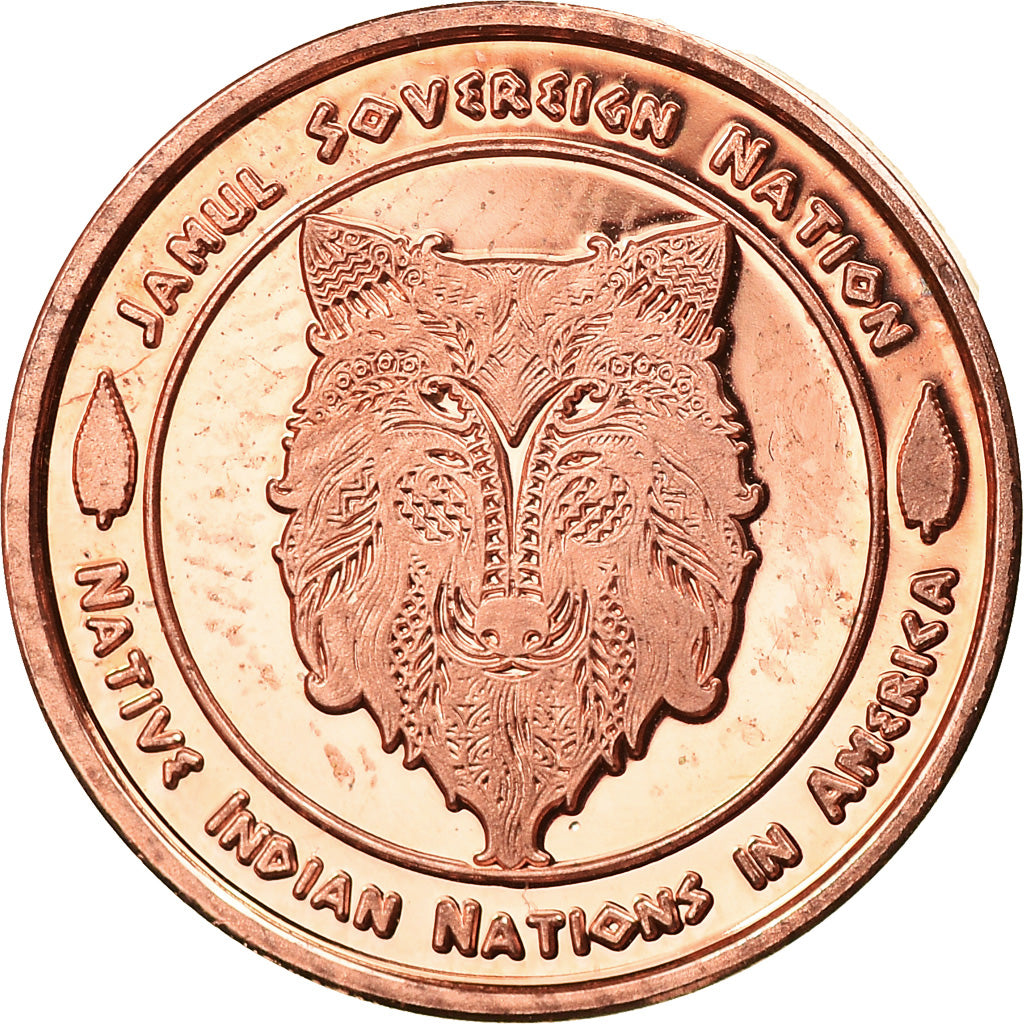 Coin, United States, IROQUOIS, 1 Cent, 2016, Exonumia, MS(65-70), Copper-nickel
