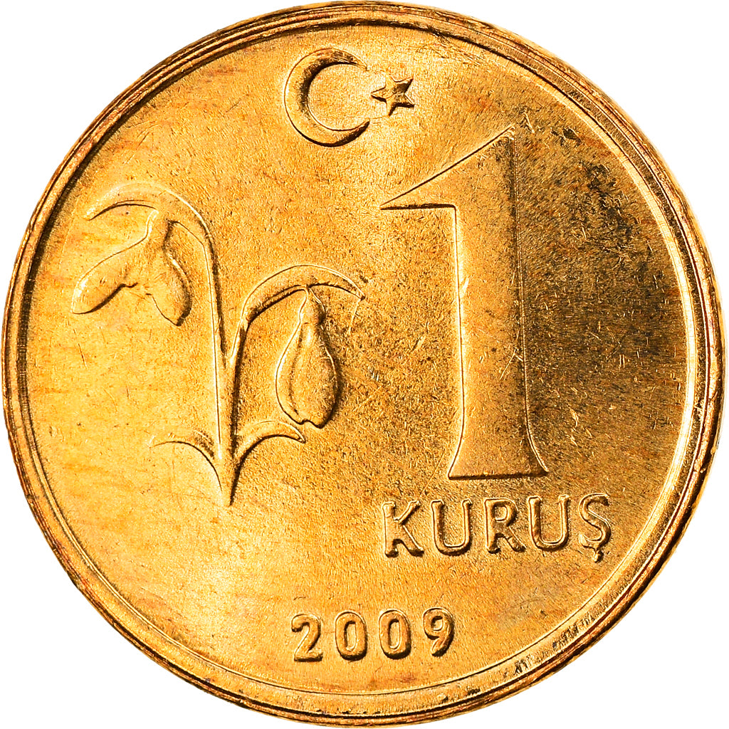 Coin, Turkey, Kurus, 2009, MS(64), Copper-Nickel Plated Steel, KM:1239
