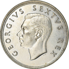 Monnaie, Afrique du Sud, George VI, 5 Shillings, 1952, TTB, Argent, KM:41