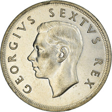 Munten, Zuid Afrika, George VI, 5 Shillings, 1952, ZF, Zilver, KM:41