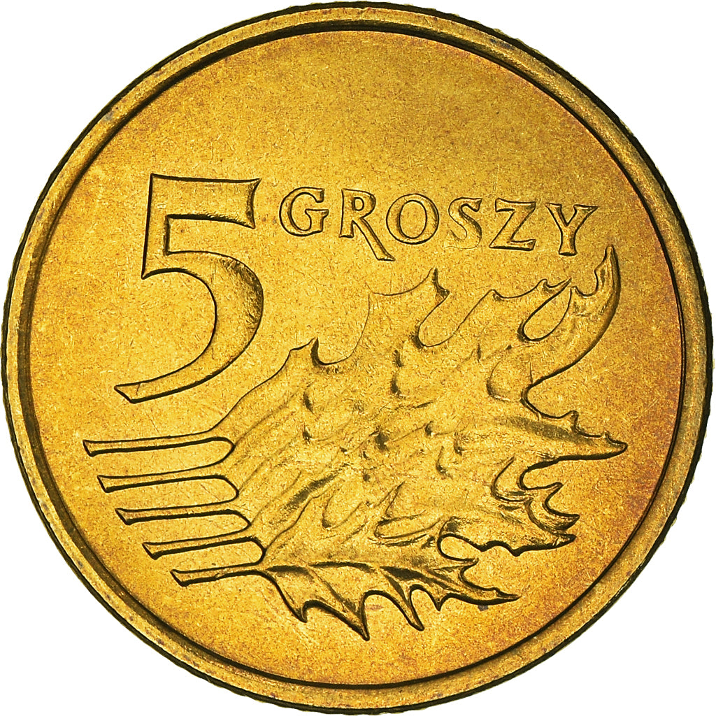 Coin, Poland, 5 Groszy, 2003, Warsaw, MS(63), Brass, KM:278