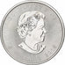 Canada, Elizabeth II, 5 dollars, 1 oz, Maple Leaf, 2015, Ottawa, Proof, Argent