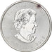 Canada, Elizabeth II, 5 dollars, 1 oz, Maple Leaf, 2015, Ottawa, Proof, Silver