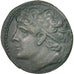 Sicily, Hieron II (274-216 BC), Bronze, Syracuse, EF(40-45), Bronze, 19.09