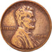 Stati Uniti, Lincoln Cent, Cent, 1949, U.S. Mint, Philadelphia, MB+, Ottone,...