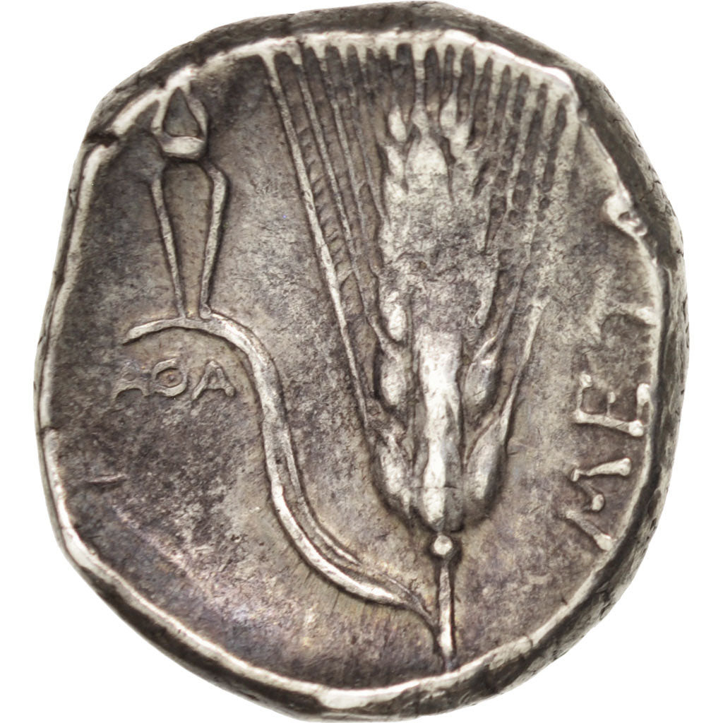 Lucania, Metaponto, Stater, Metapontion, EF(40-45), Silver, 7.90