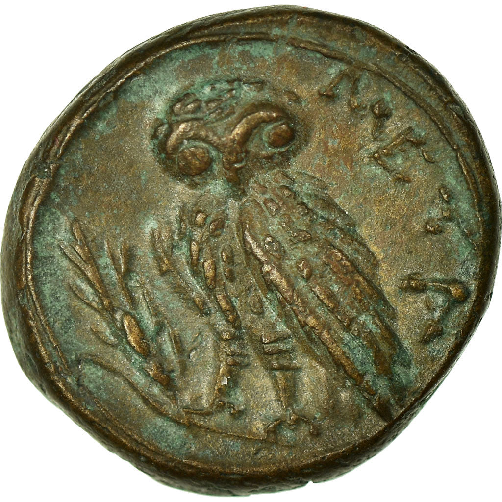 Coin, Lucania, Metapontion, Bronze, Metapontion, AU(50-53), Bronze
