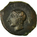 Coin, Sicily, Kamarina, Tetras, Kamarina, AU(55-58), Bronze
