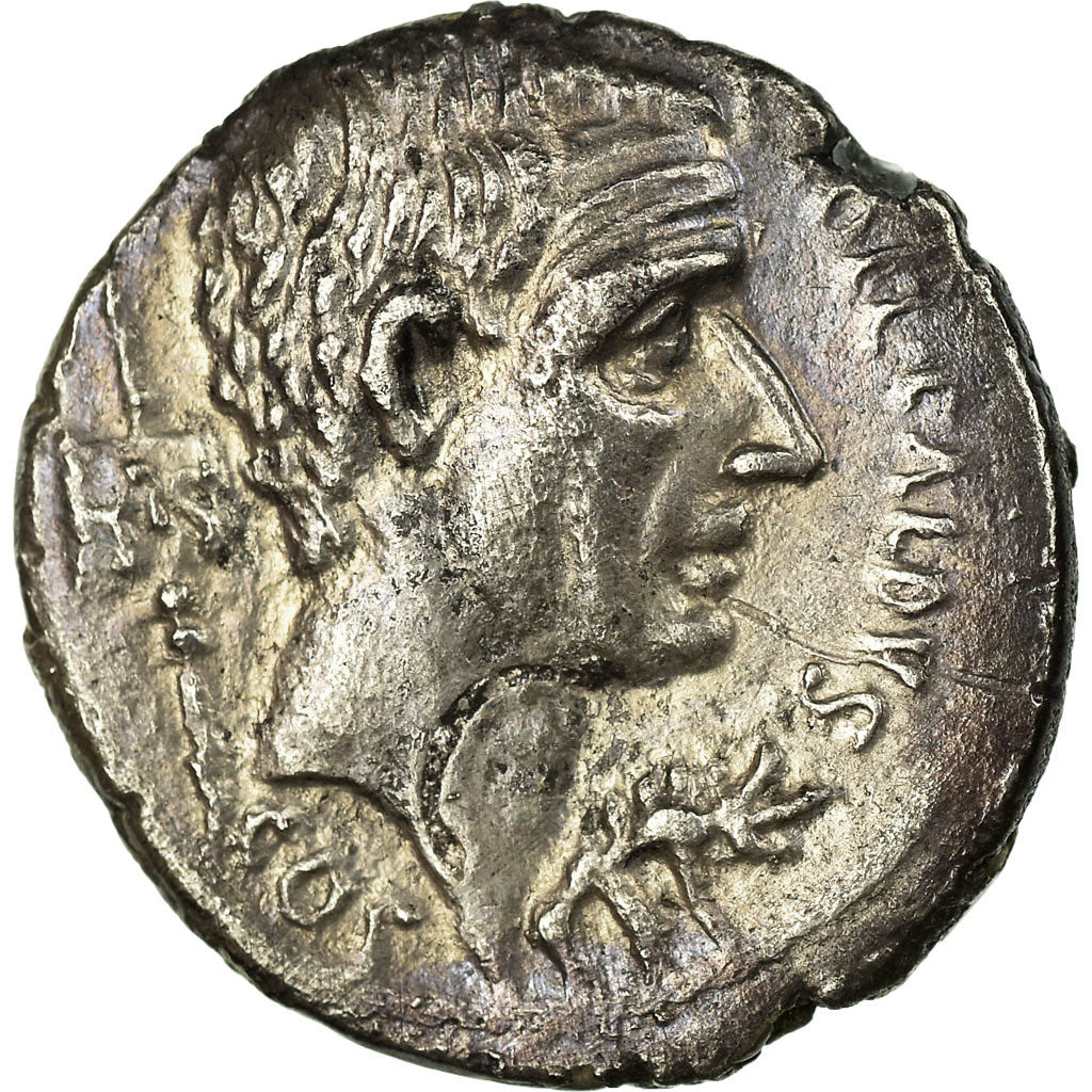 Coin, Coelia, Denarius, Rome, AU(50-53), Silver