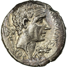 Coin, Coelia, Denarius, Rome, AU(50-53), Silver