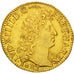 Francia, Louis XIV, Louis d'or à la tête nue, Louis d'Or, 1682, Bayonne, PC...