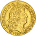 Louis XIV, Louis d'or à la perruque, 1687 D, Lyon, Gadoury 249