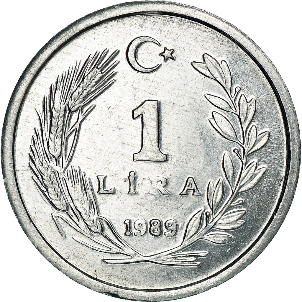 Coin, Turkey, Lira, 1989, MS(64), Aluminum, KM:962.2