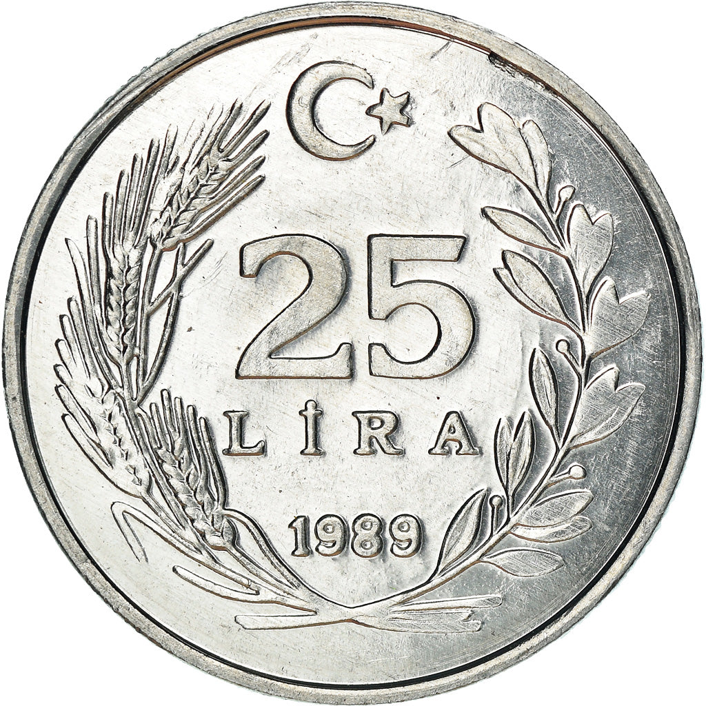Coin, Turkey, 25 Lira, 1989, MS(64), Aluminum, KM:975