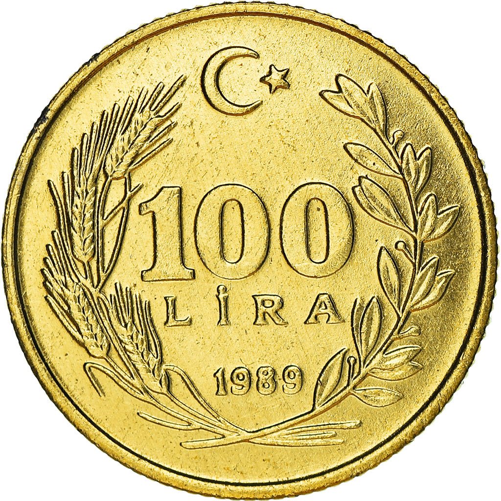 Moneta, Turchia, 100 Lira, 1989, SPL+, Alluminio-bronzo, KM:988