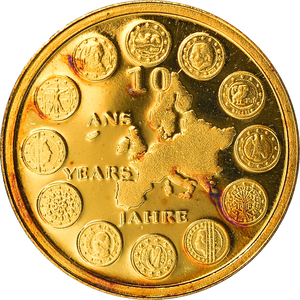 Francia, medaglia, 10 ans de l'Euro, 2009, FDC, Oro
