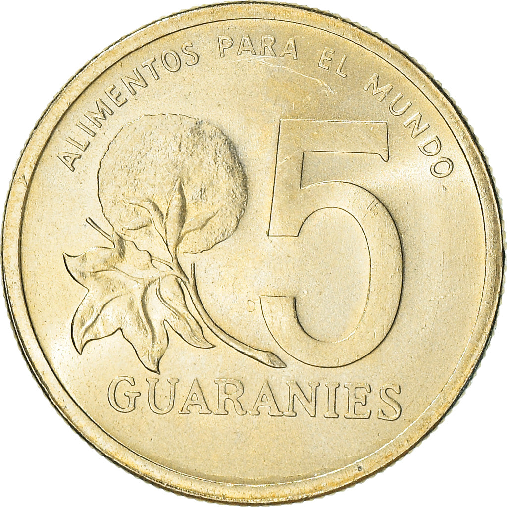 Moneta, Paraguay, 5 Guaranies, 1992, SPL, Nichel-bronzo, KM:166a