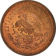 Moneta, Messico, 5 Centavos, 1944, Mexico City, SPL, Bronzo, KM:424