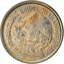 Moneda, México, 10 Centavos, 1978, Mexico City, MBC, Cobre - níquel, KM:434.1