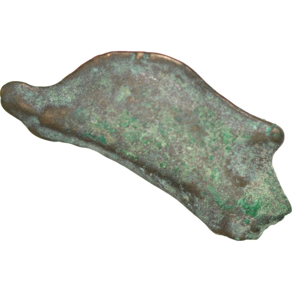 Sarmatia, Olbia, Dolphin, Olbia, VF(30-35), Bronze, 1.59